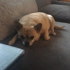 Meet your Posher, Mandy